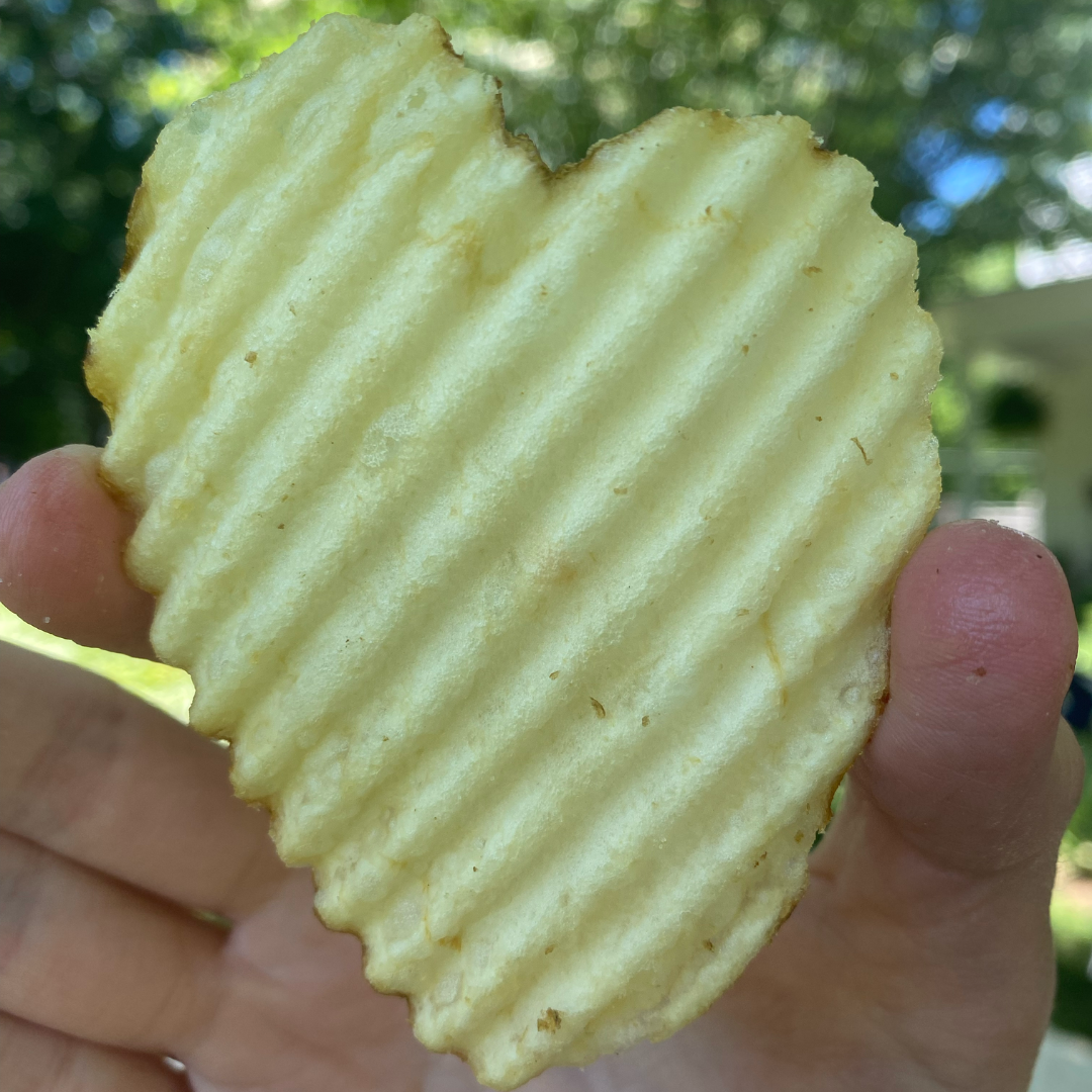 heart shaped chip
